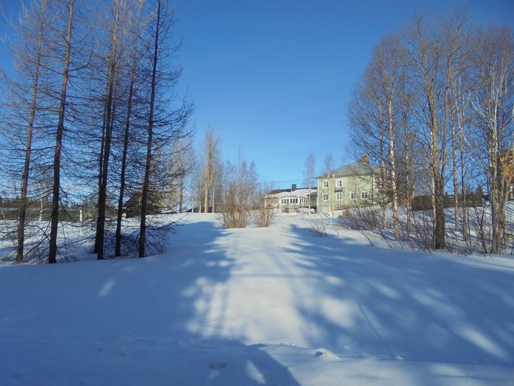 Jaerjagarden Guesthouse Storsele ภายนอก รูปภาพ